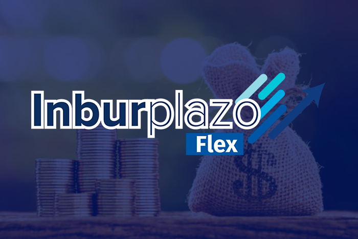 https://segovianomoreno.com/wp-content/uploads/2024/08/1.IMG_1-CuentasDeInversión_700x467_3.InburplazoFlex.png