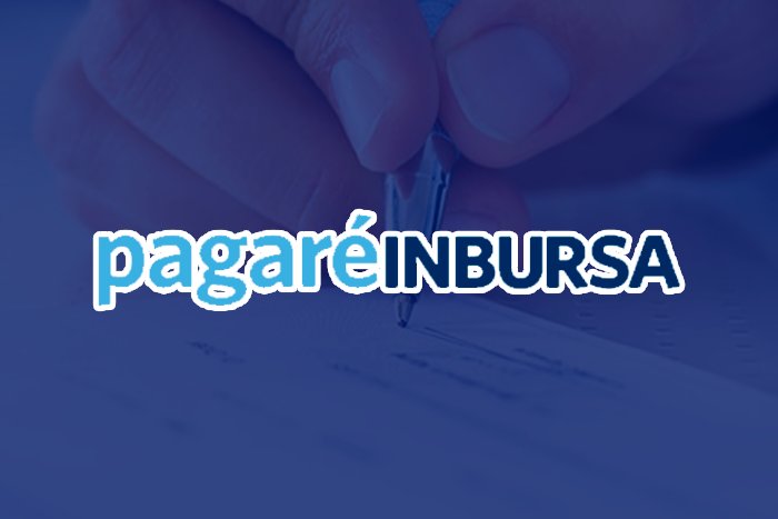 https://segovianomoreno.com/wp-content/uploads/2024/08/1.IMG_1-CuentasDeInversión_700x467_8.PagaréInbursa.png