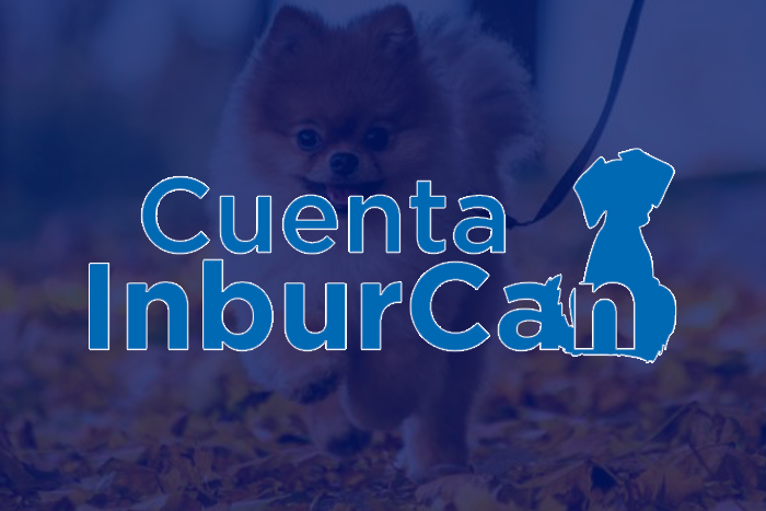 https://segovianomoreno.com/wp-content/uploads/2024/08/1.IMG_1-CuentasPersonales_700x467_8.Inburcan.png