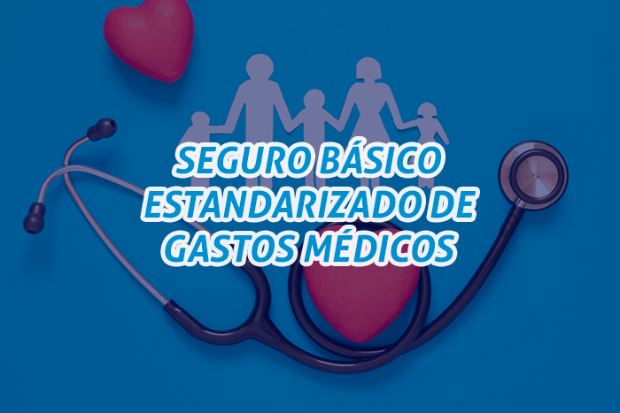 https://segovianomoreno.com/wp-content/uploads/2024/08/1.IMG_1-ProtecciónGastosMédicos_700x467_4.Seguro-Básico-Estandarizado-de-Gastos-Médicos.png