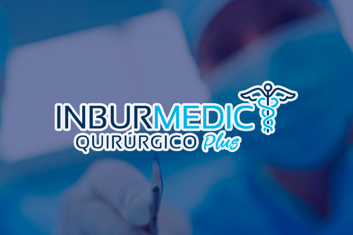https://segovianomoreno.com/wp-content/uploads/2024/08/1.IMG_1-ProtecciónGastosMédicos_700x467_9.InburMedicQuirúrgicoPlus.png