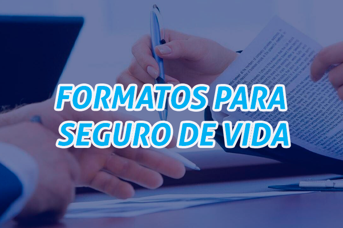 https://segovianomoreno.com/wp-content/uploads/2024/08/1.IMG_1-ProtecciónVida_700x467_11.FormatosSeguro.png