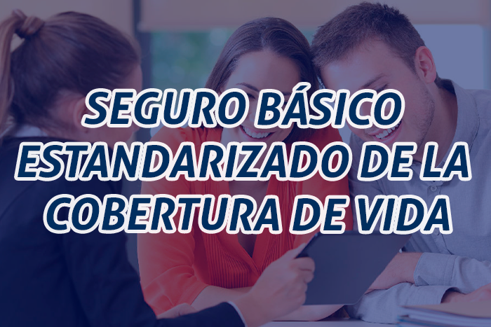 https://segovianomoreno.com/wp-content/uploads/2024/08/1.IMG_1-ProtecciónVida_700x467_7.Seguro-Básico-Estandarizado-de-la-Cobertura-de-Vida.png