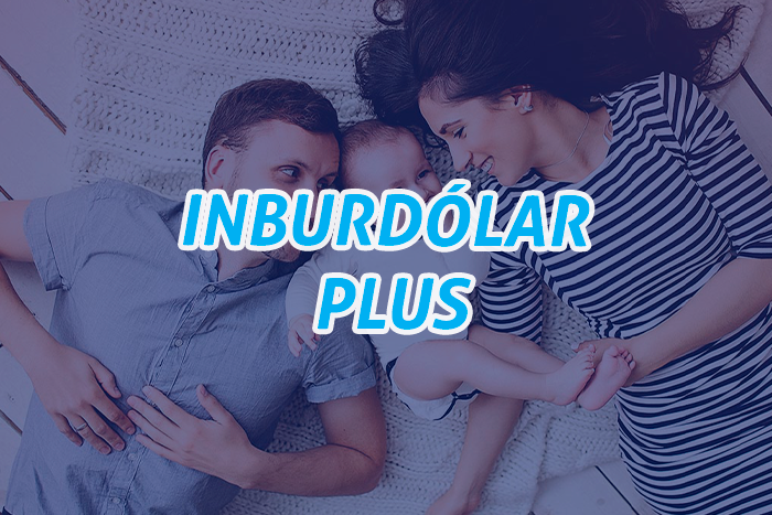 https://segovianomoreno.com/wp-content/uploads/2024/08/1.IMG_1-ProtecciónVida_700x467_8.Inburdólar-Plus.png