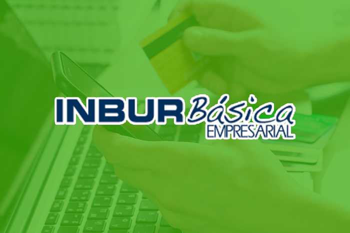 https://segovianomoreno.com/wp-content/uploads/2024/11/2.IMG_1-Cuentas_700x467_2.InburBásicaEmpresarial_.png