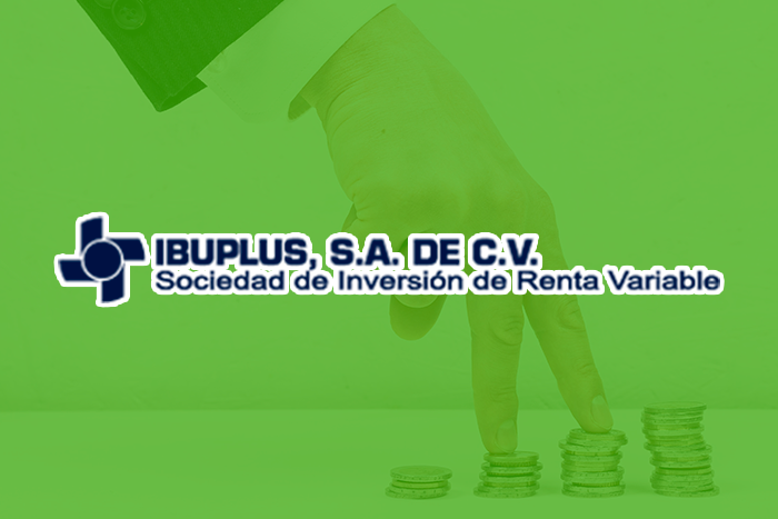 https://segovianomoreno.com/wp-content/uploads/2024/11/2.IMG_1-Fondos-Inversión-Empresas_700x467_5-Ibuplus.png