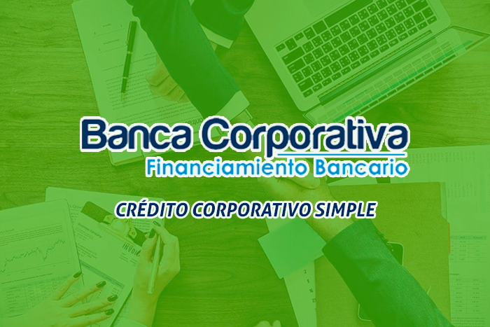 https://segovianomoreno.com/wp-content/uploads/2024/11/2.IMG_FinanciamientoBancario_700x467_2-CréditoCorporativoSimple.png