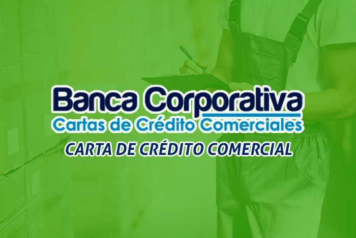 https://segovianomoreno.com/wp-content/uploads/2024/11/2.IMG_OtrosCréditos_700x467_1-CartadeCréditoComercial.png