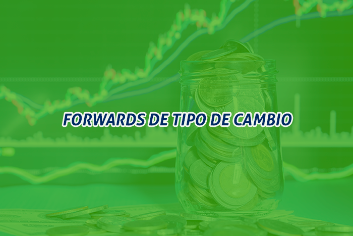 https://segovianomoreno.com/wp-content/uploads/2024/11/2.IMG_OtrosCréditos_700x467_7-ForwardsdeTipodeCambio.png