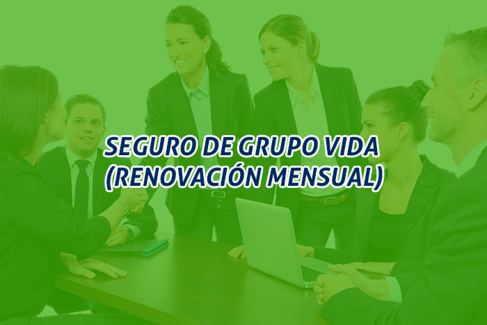 https://segovianomoreno.com/wp-content/uploads/2024/11/2.IMG_ProtecciónVida_700x467_3-SegurodeGrupoVida.png
