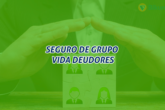https://segovianomoreno.com/wp-content/uploads/2024/11/2.IMG_ProtecciónVida_700x467_4-SegurodeGrupoVidaDeudores.png