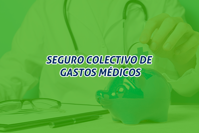 https://segovianomoreno.com/wp-content/uploads/2025/01/2.IMG_GastosMédicos_700x467_1-SeguroColectivo.png
